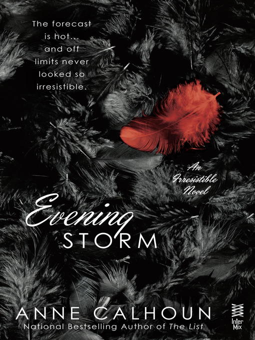 Title details for Evening Storm by Anne Calhoun - Available